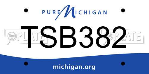 TSB382 Michigan License Plate