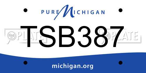 TSB387 Michigan License Plate