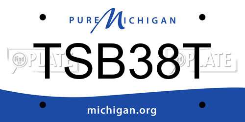 TSB38T Michigan License Plate