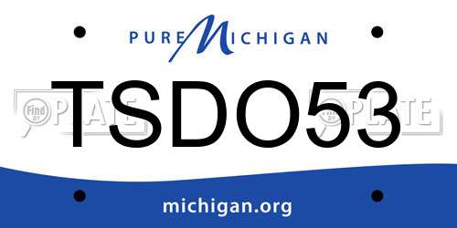 TSDO53 Michigan License Plate