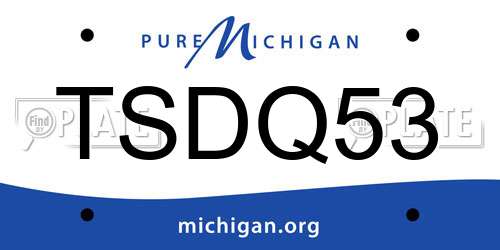 TSDQ53 Michigan License Plate