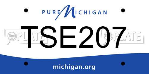 TSE207 Michigan License Plate
