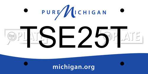 TSE25T Michigan License Plate