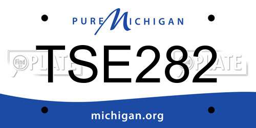 TSE282 Michigan License Plate