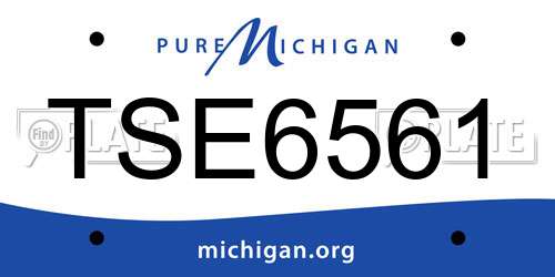 TSE6561 Michigan License Plate