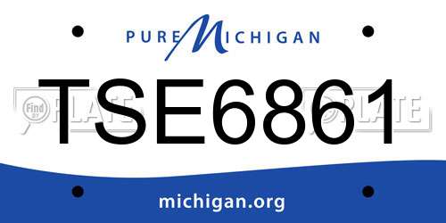 TSE6861 Michigan License Plate