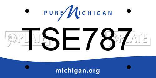 TSE787 Michigan License Plate