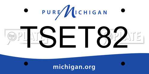 TSET82 Michigan License Plate
