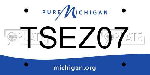 TSEZ07 Michigan License Plate