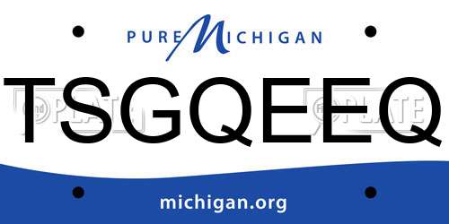 TSGQEEQ Michigan License Plate