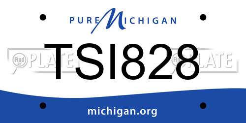 TSI828 Michigan License Plate