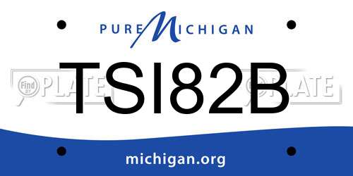 TSI82B Michigan License Plate