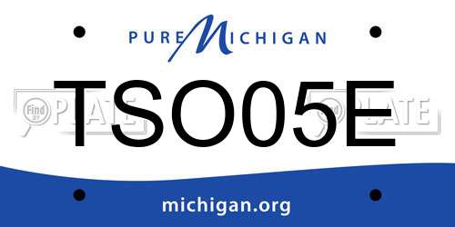 TSO05E Michigan License Plate
