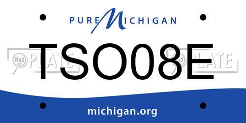 TSO08E Michigan License Plate