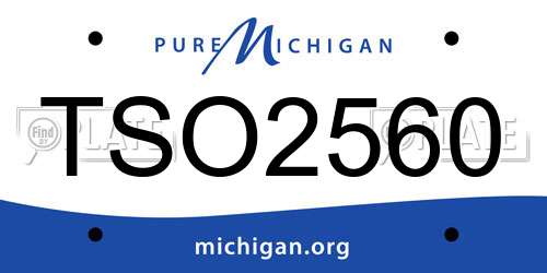 TSO2560 Michigan License Plate