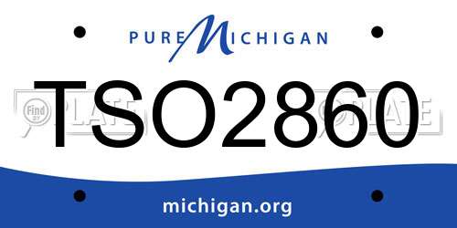 TSO2860 Michigan License Plate