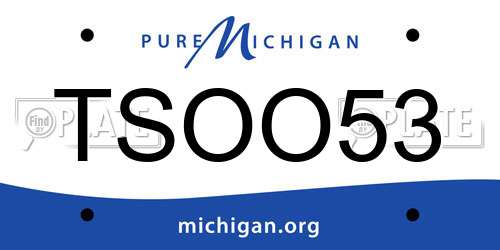 TSOO53 Michigan License Plate