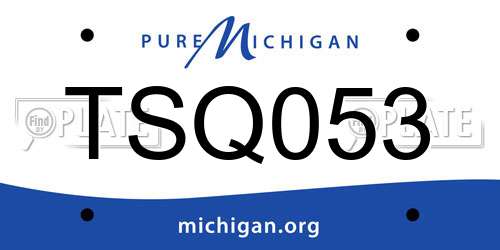 TSQ053 Michigan License Plate