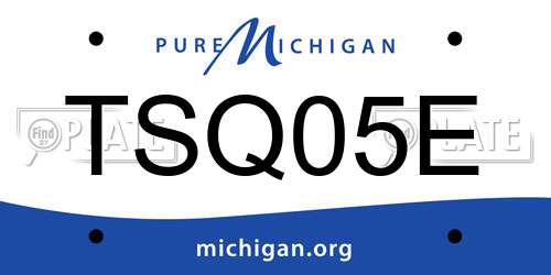 TSQ05E Michigan License Plate