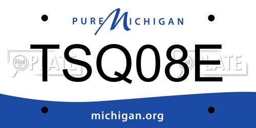 TSQ08E Michigan License Plate