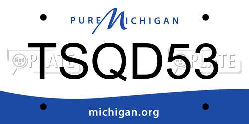TSQD53 Michigan License Plate