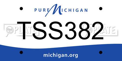 TSS382 Michigan License Plate