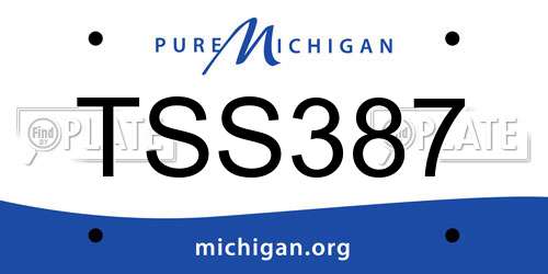 TSS387 Michigan License Plate