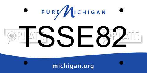 TSSE82 Michigan License Plate