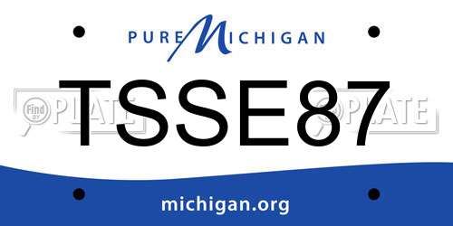 TSSE87 Michigan License Plate