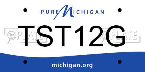 TST12G Michigan License Plate
