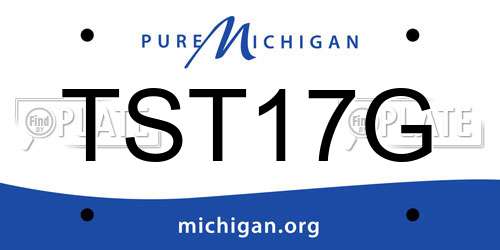 TST17G Michigan License Plate