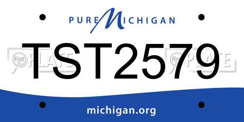 TST2579 Michigan License Plate