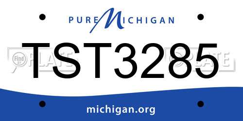 TST3285 Michigan License Plate