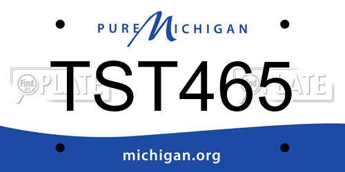 TST465 Michigan License Plate