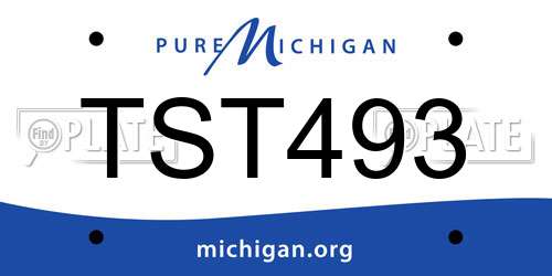 TST493 Michigan License Plate