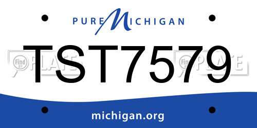 TST7579 Michigan License Plate