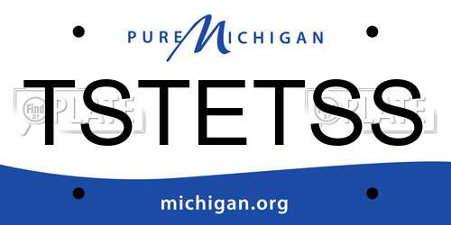 TSTETSS Michigan License Plate