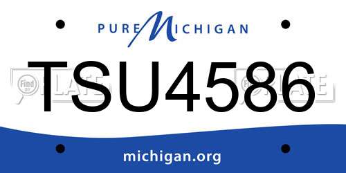 TSU4586 Michigan License Plate