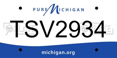 TSV2934 Michigan License Plate