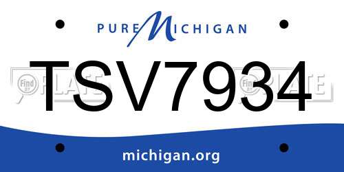 TSV7934 Michigan License Plate