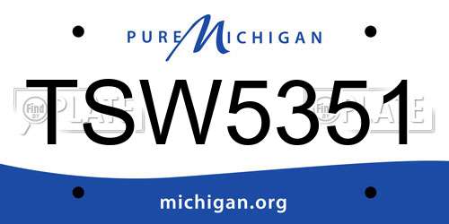 TSW5351 Michigan License Plate