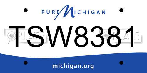 TSW8381 Michigan License Plate