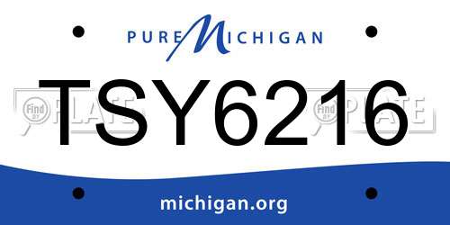 TSY6216 Michigan License Plate