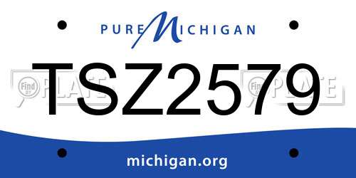 TSZ2579 Michigan License Plate