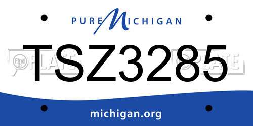 TSZ3285 Michigan License Plate