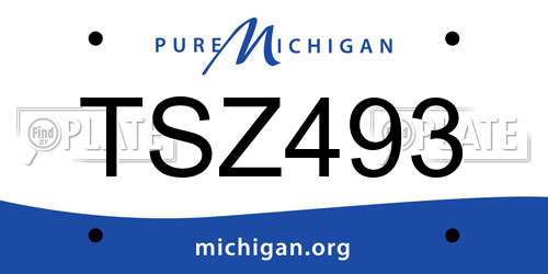 TSZ493 Michigan License Plate