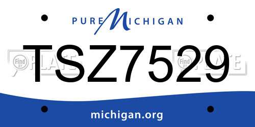 TSZ7529 Michigan License Plate