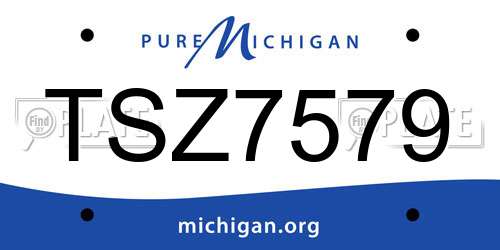 TSZ7579 Michigan License Plate