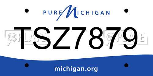 TSZ7879 Michigan License Plate