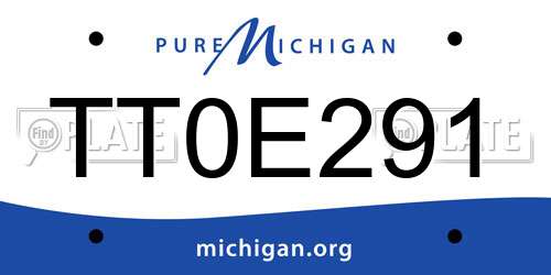 TT0E291 Michigan License Plate